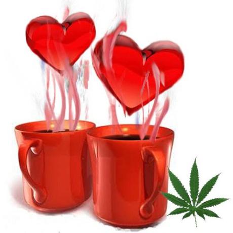 Colaboración: Infusiones y tés de www.soloinfusiones.com te-cannabico-red-love