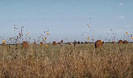 August: Osage County - 2013