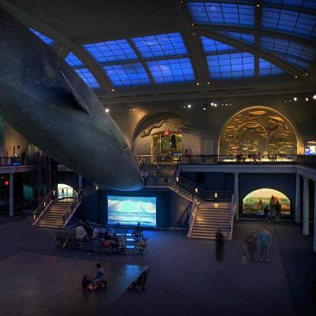 American-Museum-Of-Natural-History (1)