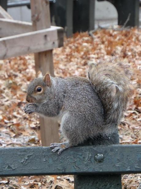 NYC black & red NYC black & red