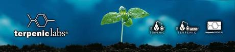 Terpenic Labs | Esencialmente naturales Terpenic Labs | Esencialmente naturales