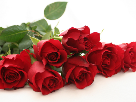 Colores de pasión, para un San Valentín de lo más cool!!!! Las rosas rojas, como no…un imprescindible de Valentinés Day