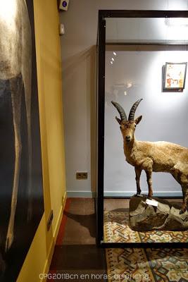 22 AÑOS DESPUÉS, EL TAXIDERMISTA REGRESA A LA PLAÇA REIAL 22 AÑOS DESPUÉS, EL TAXIDERMISTA REGRESA A LA PLAÇA REIAL