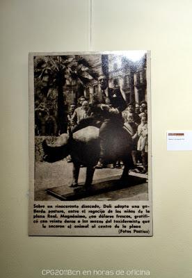 22 AÑOS DESPUÉS, EL TAXIDERMISTA REGRESA A LA PLAÇA REIAL 22 AÑOS DESPUÉS, EL TAXIDERMISTA REGRESA A LA PLAÇA REIAL