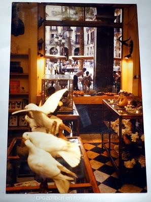 22 AÑOS DESPUÉS, EL TAXIDERMISTA REGRESA A LA PLAÇA REIAL 22 AÑOS DESPUÉS, EL TAXIDERMISTA REGRESA A LA PLAÇA REIAL