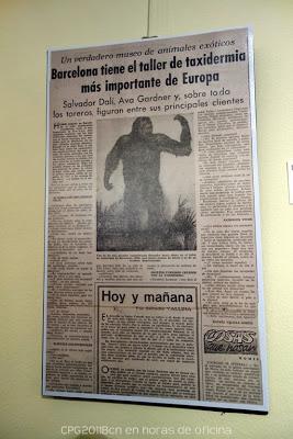 22 AÑOS DESPUÉS, EL TAXIDERMISTA REGRESA A LA PLAÇA REIAL 22 AÑOS DESPUÉS, EL TAXIDERMISTA REGRESA A LA PLAÇA REIAL