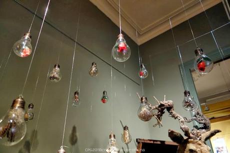 22 AÑOS DESPUÉS, EL TAXIDERMISTA REGRESA A LA PLAÇA REIAL 22 AÑOS DESPUÉS, EL TAXIDERMISTA REGRESA A LA PLAÇA REIAL