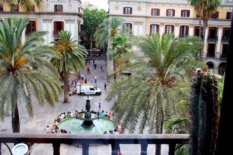 22 AÑOS DESPUÉS, EL TAXIDERMISTA REGRESA A LA PLAÇA REIAL 22 AÑOS DESPUÉS, EL TAXIDERMISTA REGRESA A LA PLAÇA REIAL