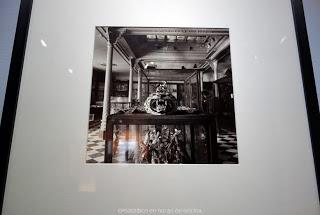 22 AÑOS DESPUÉS, EL TAXIDERMISTA REGRESA A LA PLAÇA REIAL 22 AÑOS DESPUÉS, EL TAXIDERMISTA REGRESA A LA PLAÇA REIAL