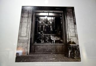 22 AÑOS DESPUÉS, EL TAXIDERMISTA REGRESA A LA PLAÇA REIAL 22 AÑOS DESPUÉS, EL TAXIDERMISTA REGRESA A LA PLAÇA REIAL