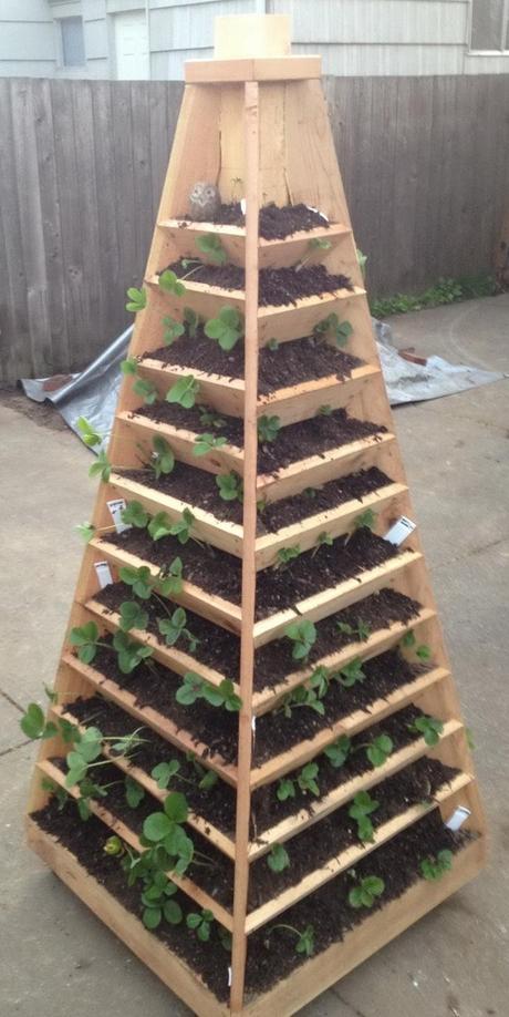 DIY jardín vertical con forma de piramide