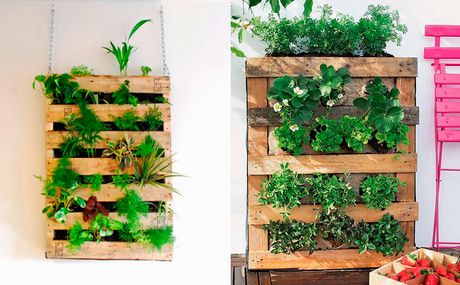 DIY jardín vertical con palets para interior y exterior