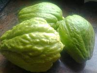 SALMON SALVAJE EN SALSA DE AJO Y PIMENTÓN CON CHOYOTAS SALMON SALVAJE EN SALSA DE AJO Y PIMENTÓN CON CHOYOTAS