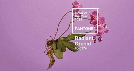 Orquidea Radiante pantone 2014 Orquidea-Radiante-Pantone-2014