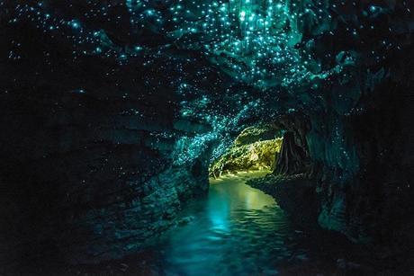 Las 15 cuevas más impresionantes del mundo cueva de las luciérnagas en Waitomo, Nueva Zelanda - Miles de luciérnagas de la especie Arachnocampa luminosa, llenan la cuevas de Waitomo Glowworm, en Nueva Zelanda. Los visitantes que tienen la oportunidad de ver el espectáculo son cautivados por los cuerpos radiantes que alumbran cada rincón de la gruta. Curiosamente, estas luciérnagas sólo se encuentran en Nueva Zelanda y optan por residir en las cuevas cuando se acercan a su etapa larval, que puede durar entre 6 y 12 meses. En la gruta son capaces de hacer nidos de seda que dejan a su paso algunos hilos colgando que al iluminarse forman un espectáculo realmente sorprendente .