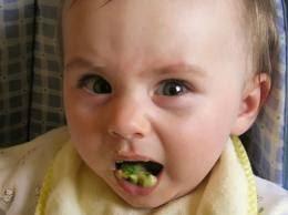 Factores de los que depende la Percepción I componente afectivo de la percepción, aversión a las verduras