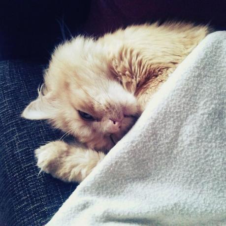 Instweek 9/February Instweek 9/February