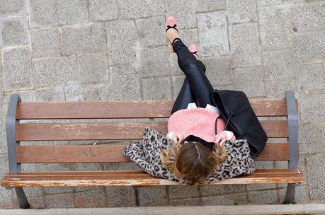 Pink and Leo Pink and Leo