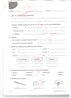 Examen de la asignatura de Lengua de un implantado coclear de diez años examen
