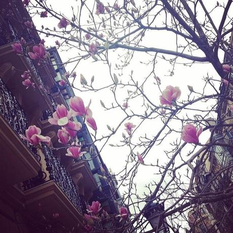 Recopilatorio Instagram Recopilatorio Instagram