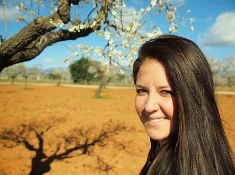 Almond's flowers Almond's flowers