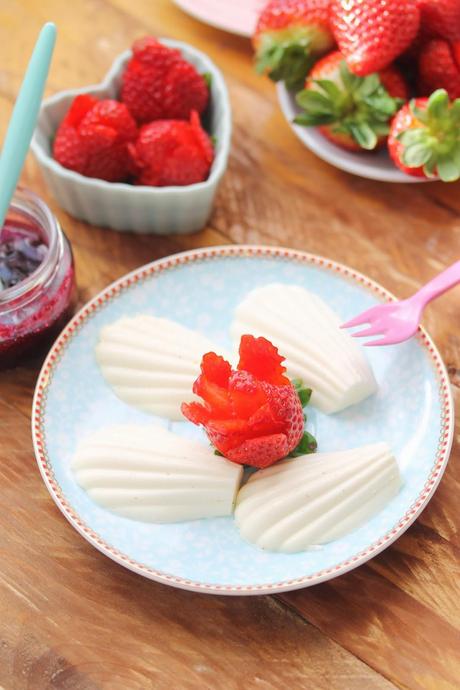 Concha de Panna Cotta con salsa de arándanos Concha de Panna Cotta con salsa de arándanos