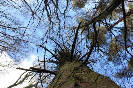 Spa break in Ballina Spa break in Ballina