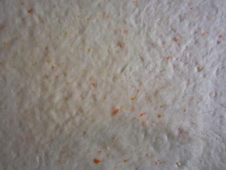 KRINGLE DE SOBRASADA Y MIEL. NARANJAS AMBER KRINGLE DE SOBRASADA Y MIEL. NARANJAS AMBER