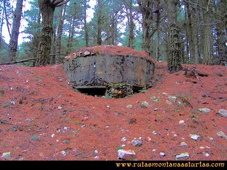 Rutas Montaña Asturias: Nido de ametralladora cerca del pico Pedroso