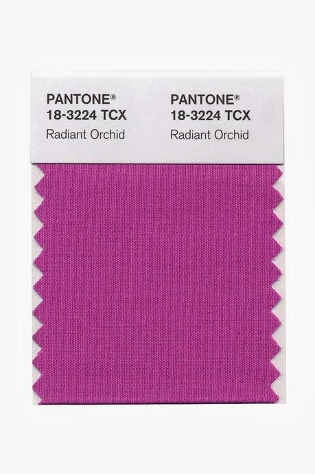 Radiant orchid Radiant orchid