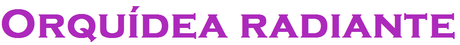Radiant orchid Radiant orchid