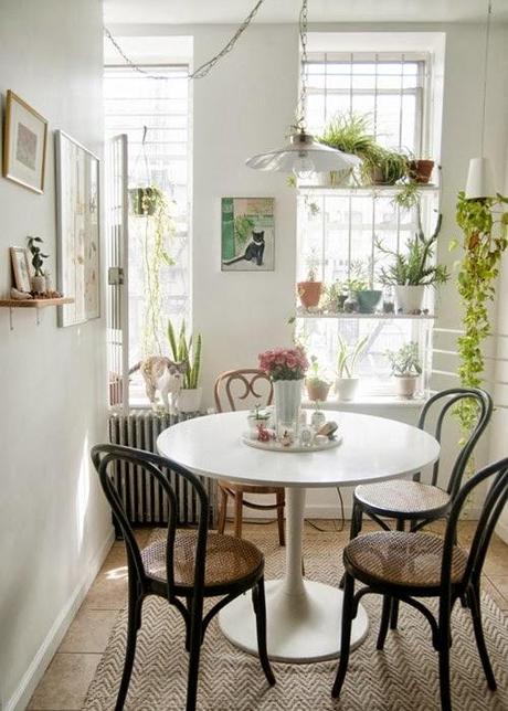 BLANCOS Y ROSAS UNA BONITA Y ROMANTICA COMBINACION BLANCOS Y ROSAS UNA BONITA Y ROMANTICA COMBINACION