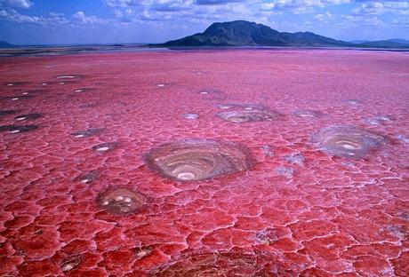 LOS MISTERIOS DEL LAGO NATRON, ANIMALES PETRIFICADOS