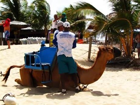 Paseos en Buggy. Natal. Nordeste del Brasil