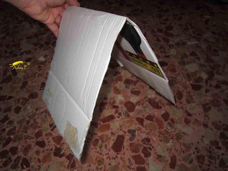 Como construir una trampa para la Tuta absoluta. Como construir una trampa para la Tuta absoluta.