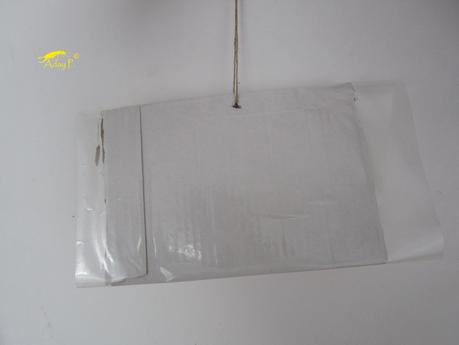 Como construir una trampa para la Tuta absoluta. Como construir una trampa para la Tuta absoluta.