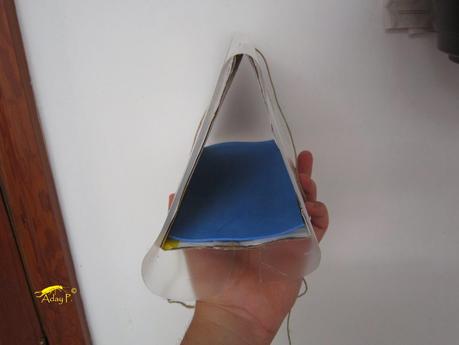 Como construir una trampa para la Tuta absoluta. Como construir una trampa para la Tuta absoluta.