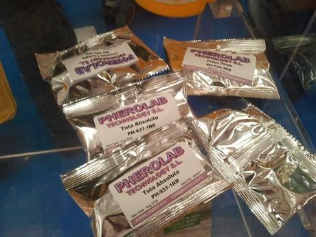 Como construir una trampa para la Tuta absoluta. Como construir una trampa para la Tuta absoluta.