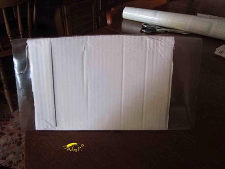 Como construir una trampa para la Tuta absoluta. Como construir una trampa para la Tuta absoluta.