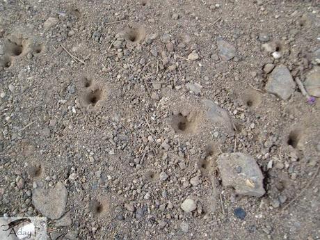 120 maneras de combatir hormigas 120 maneras de combatir hormigas