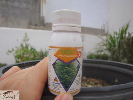 Tuta absoluta: Como combatirla Tuta absoluta: Como combatirla