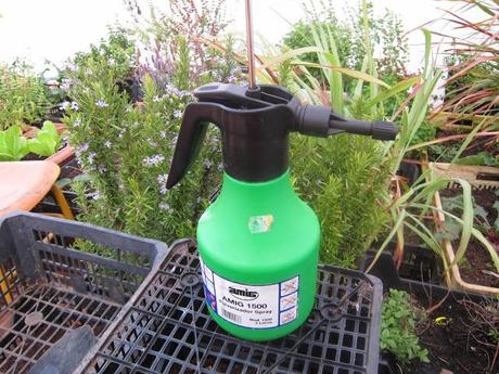 Tuta absoluta: Como combatirla Tuta absoluta: Como combatirla