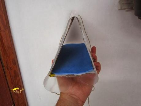 Tuta absoluta: Como combatirla Tuta absoluta: Como combatirla