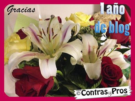 … del primer año del blog Primer año de blog