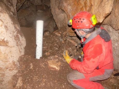 Nuevo método de trampeo en cuevas de Jaén Nuevo método de trampeo en cuevas de Jaén