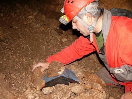 Nuevo método de trampeo en cuevas de Jaén Nuevo método de trampeo en cuevas de Jaén