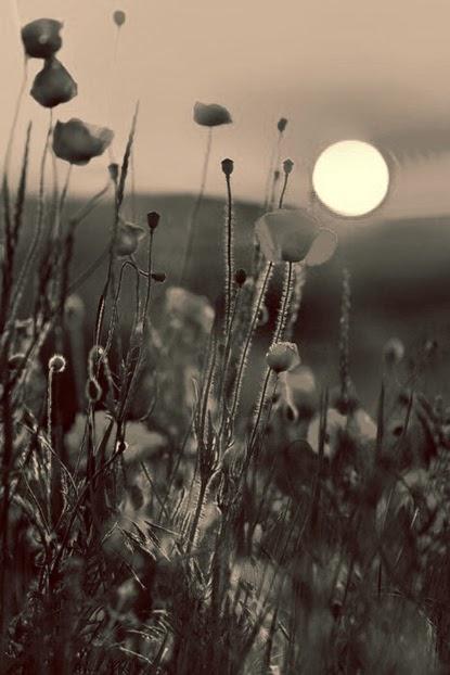 These little things These little things