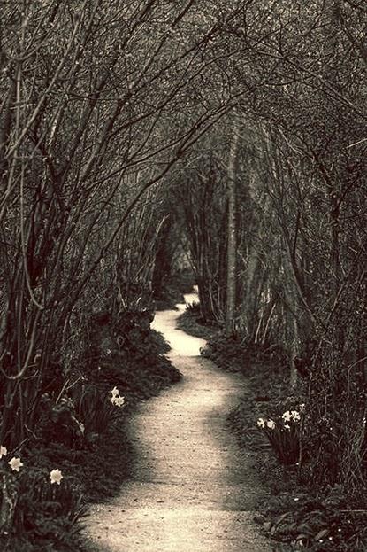 These little things These little things