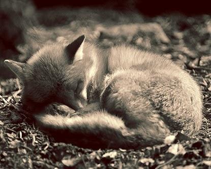 These little things These little things