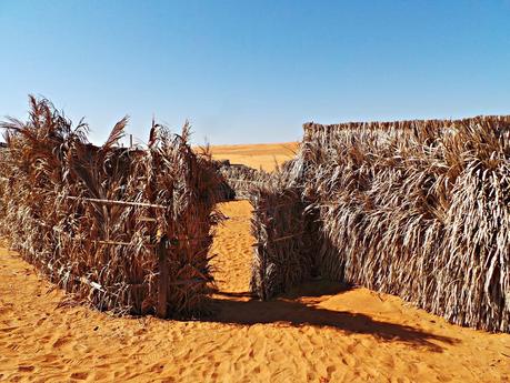 Ramlat al-Wahiba, nuestra experiencia en el desierto de Omán